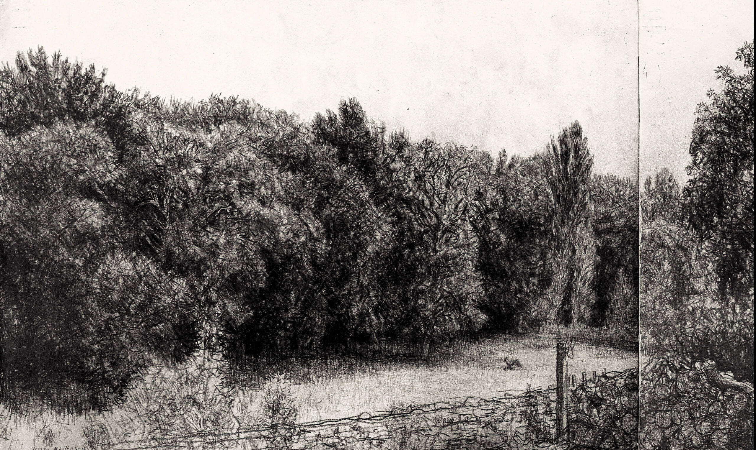 Le chant de la terre (détail), 2021-2022, Pierre noire sur papier, 29,8 x 42 cm