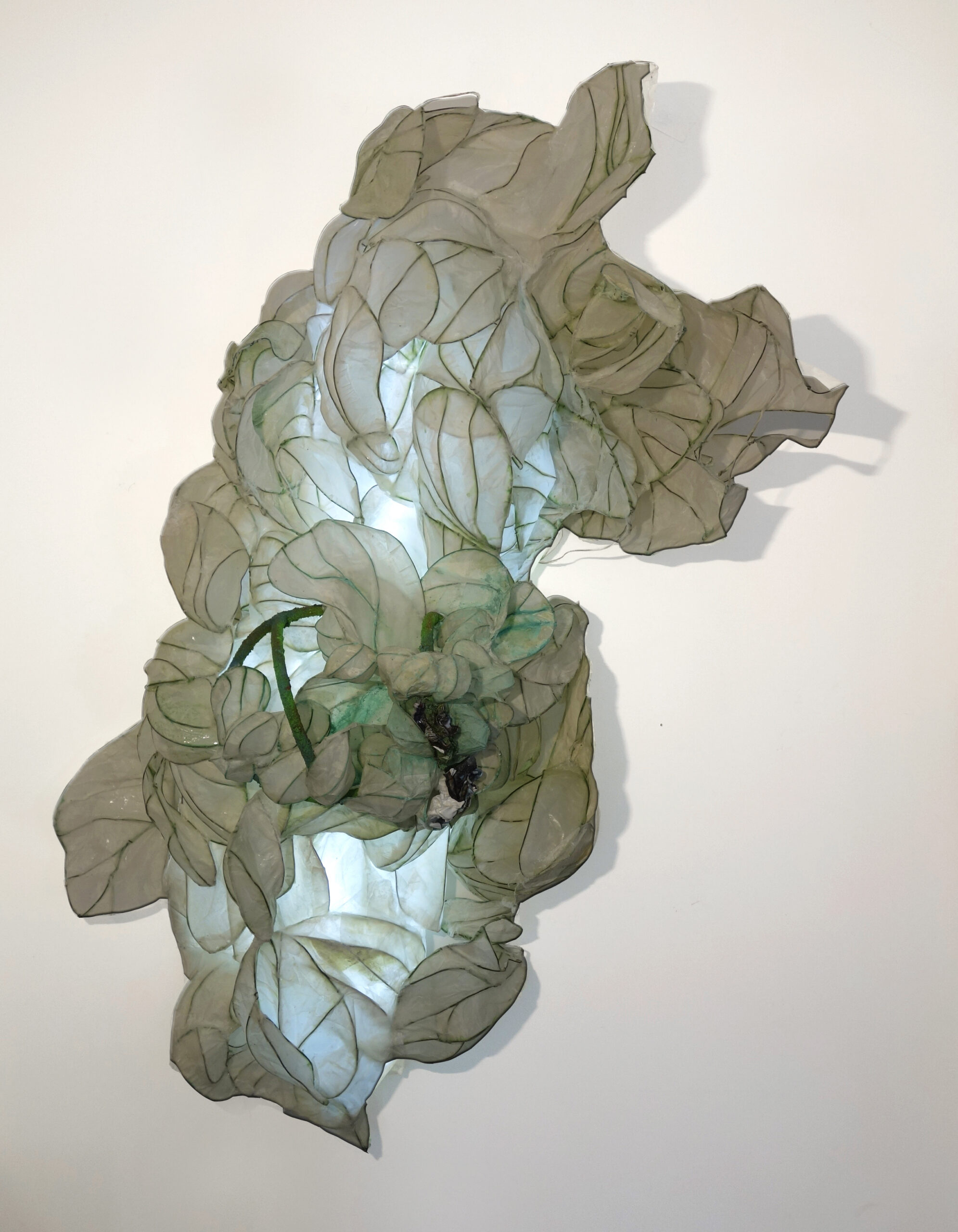 Echeveria, Flo Arnold, 2023, Papier wenzhou, armature laiton gainé oxydée, led, 190 x 130 cm © Flo Arnold et Christophe Miralles