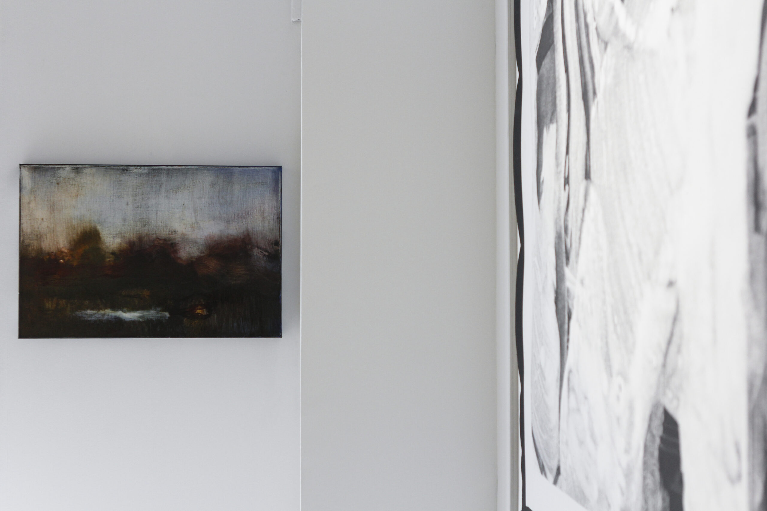 Vue d'exposition, 2024 | © Aurea Calcavecchia