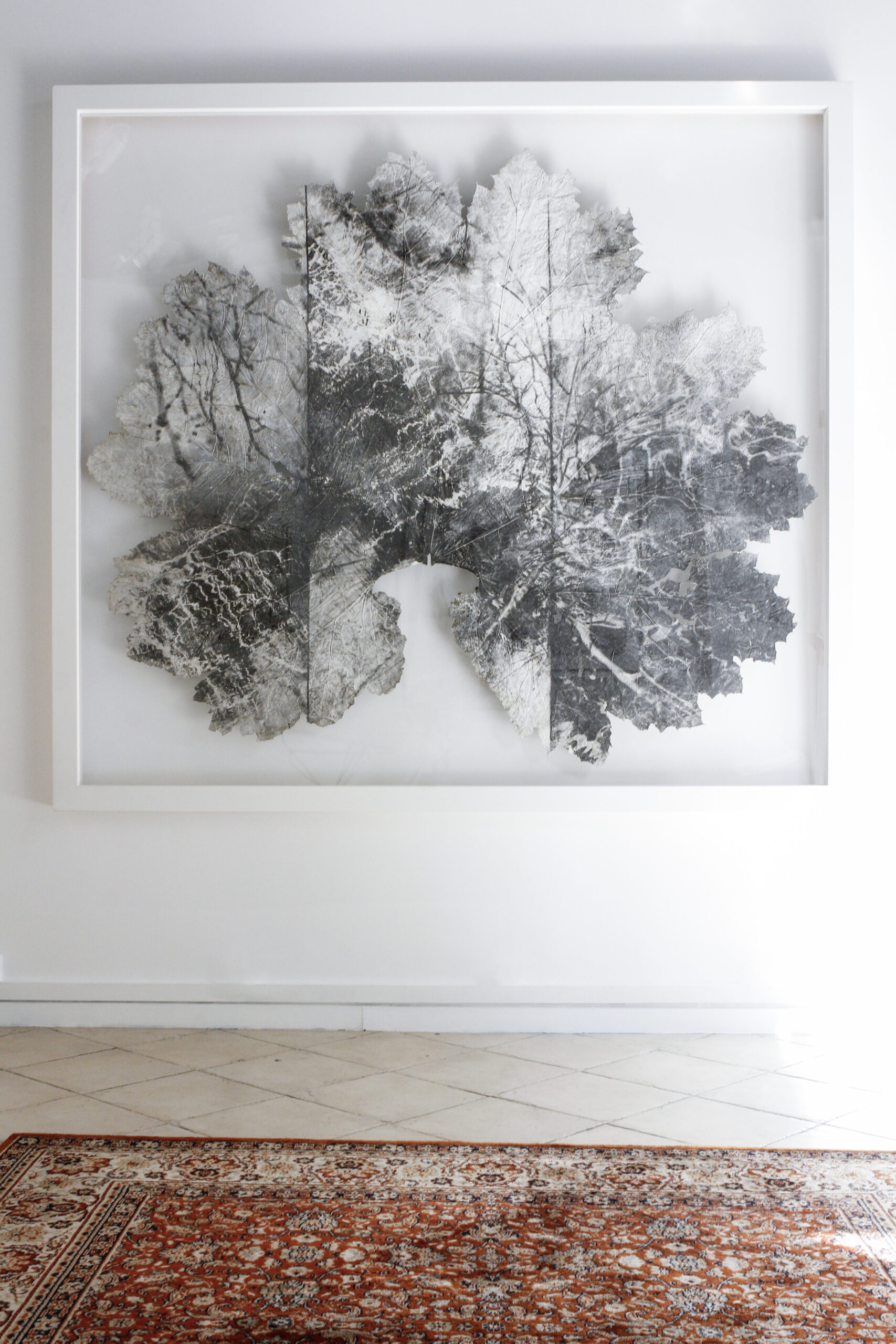 Vue d'exposition, 2024 | © Aurea Calcavecchia