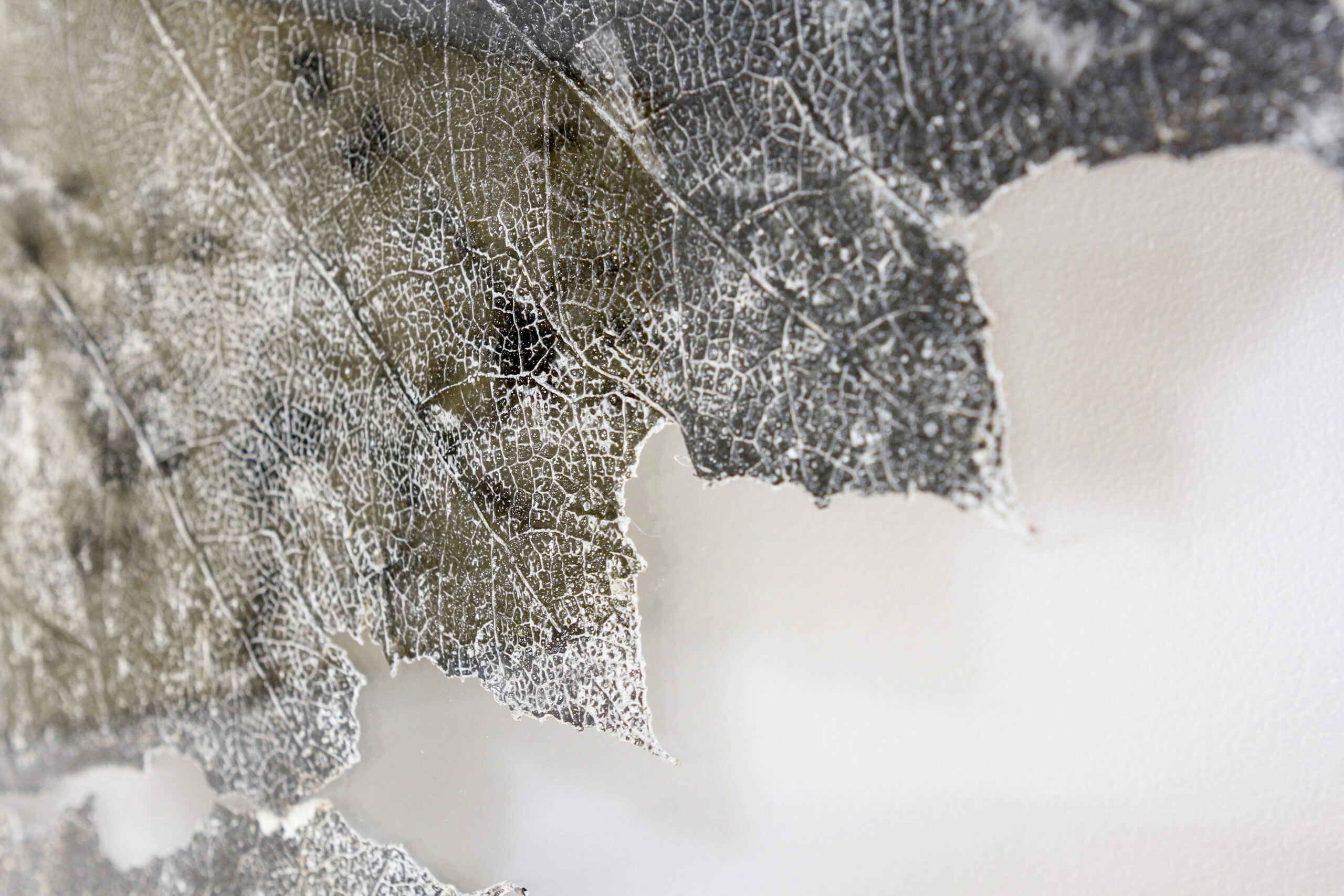 Vue d'exposition, 2024 | © Aurea Calcavecchia