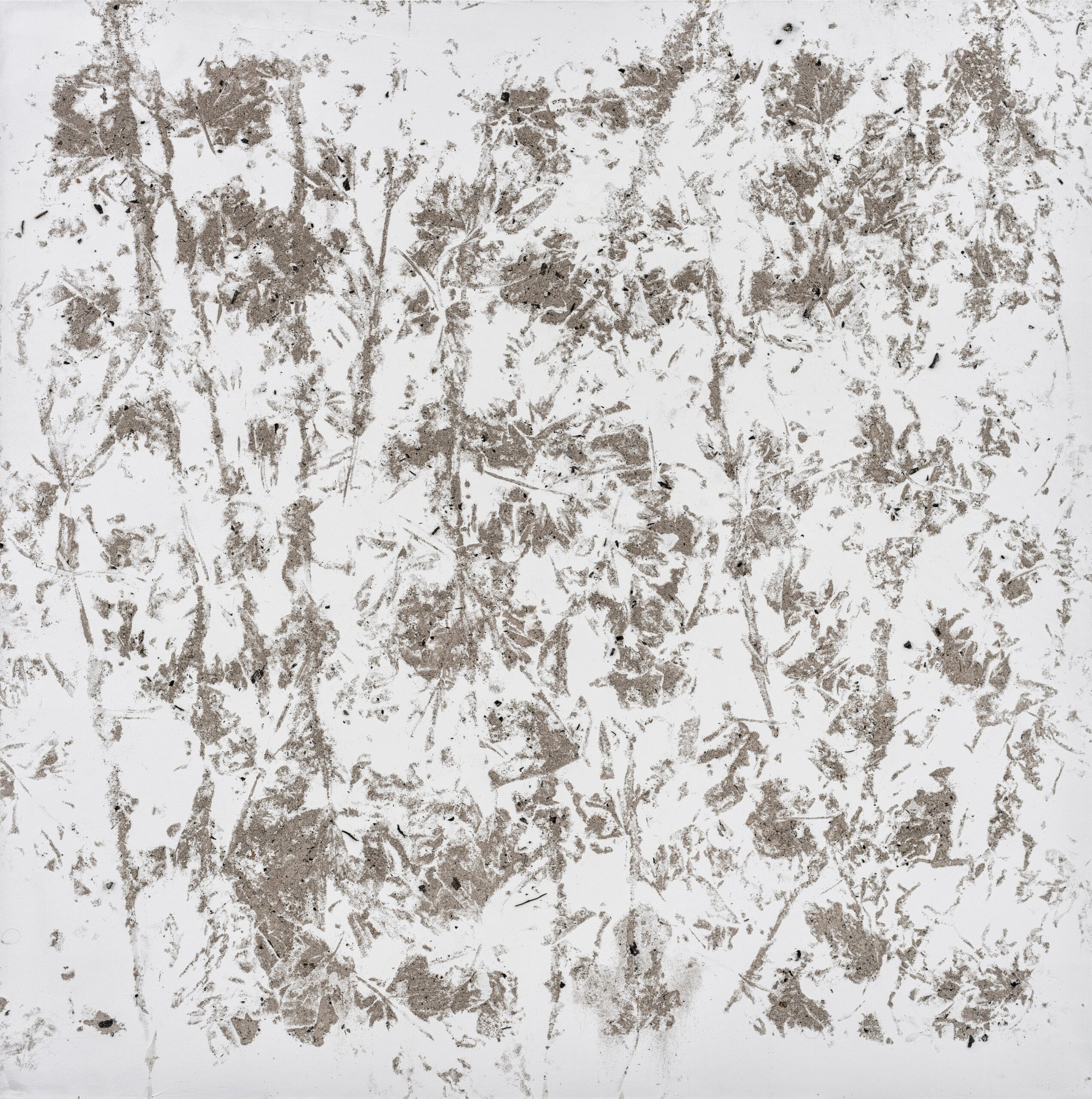 N°653 Série Arborescences, 2023, technique mixte, acrylique sur toile, cendres végétales, 150 x 150 cm