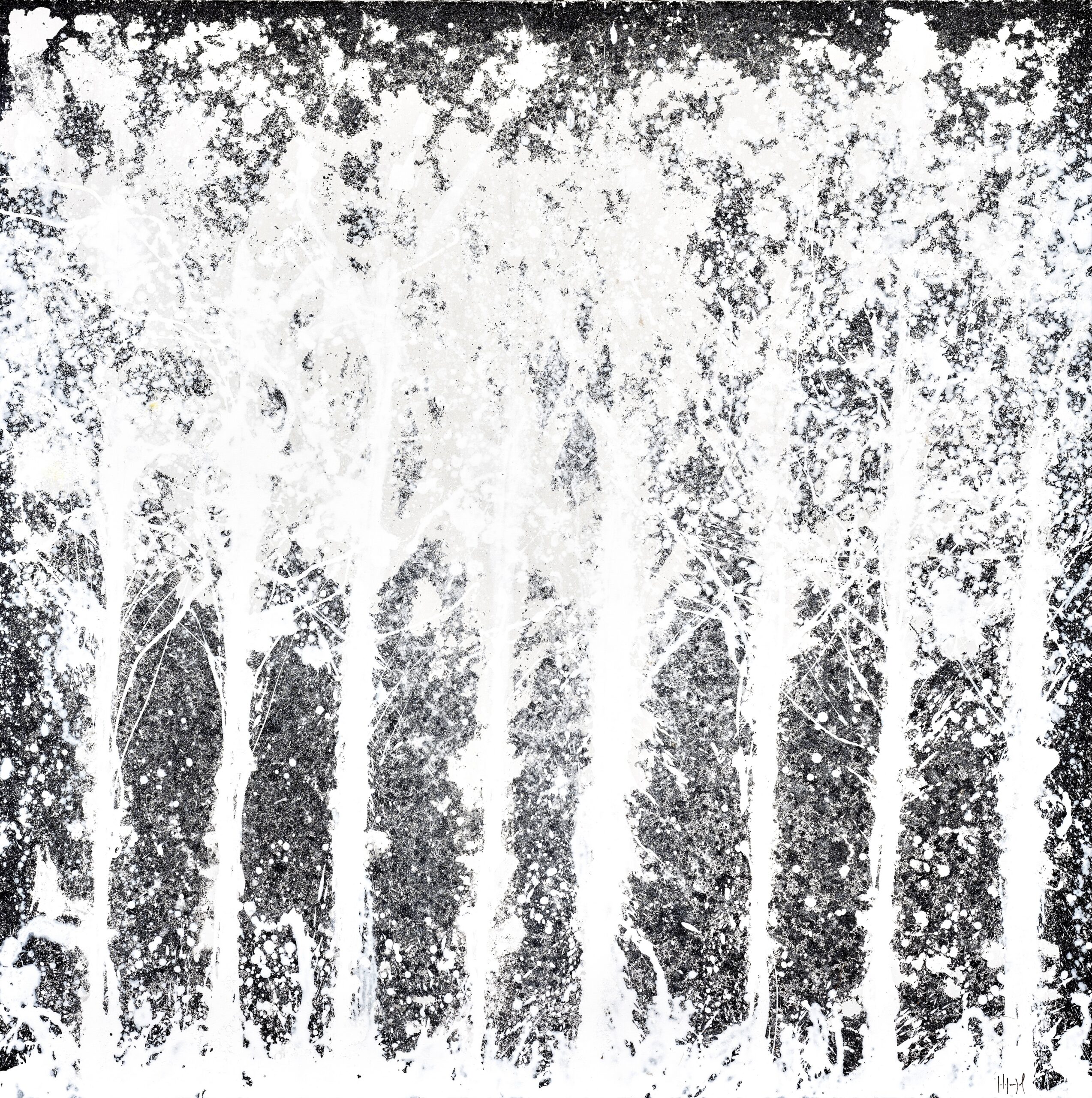 N°532 série L’appel de la forêt, 2022, Technique mixte, acrylique sur toile, décollement de la peinture à l’eau sous haute pression, 200 x 200 cm