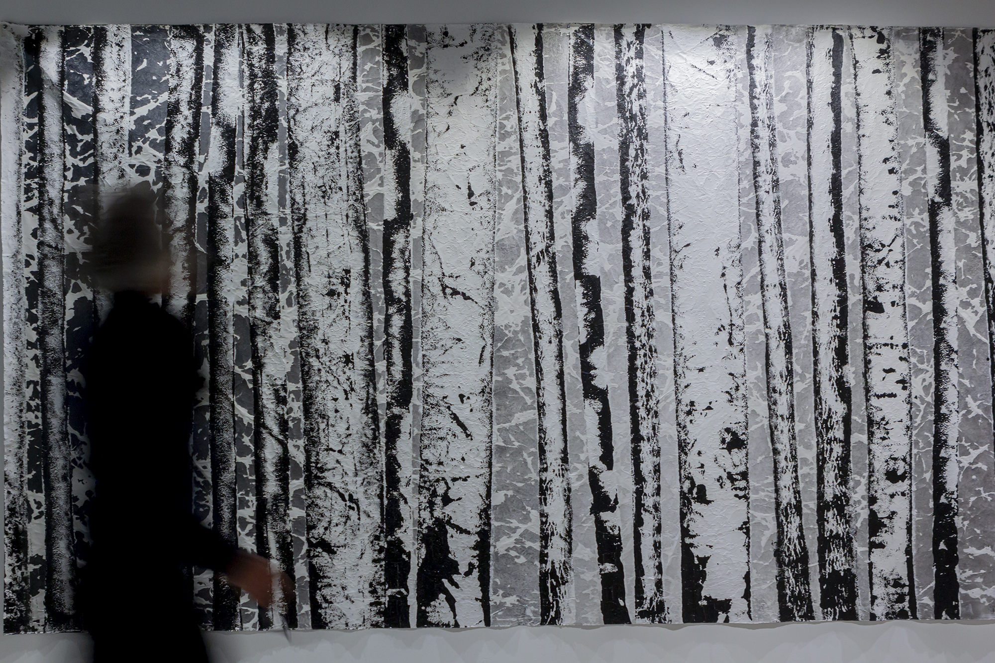 Vue de l'exposition, 2024 | © Aurea Calcavecchia