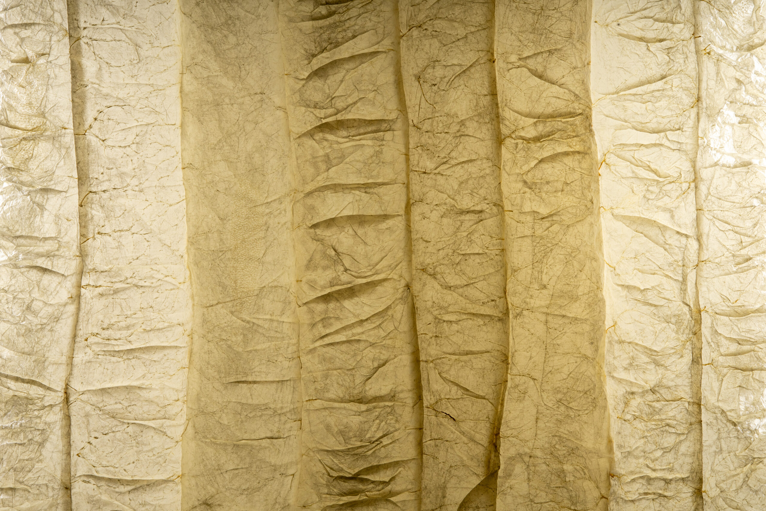 Holidays (détail), Membrane protéique (boyaux de porc), Ventilateur, pla, tourillon hêtre, visserie, fil polyester, 160 x 60 x 20 cm | © Xavier Servas