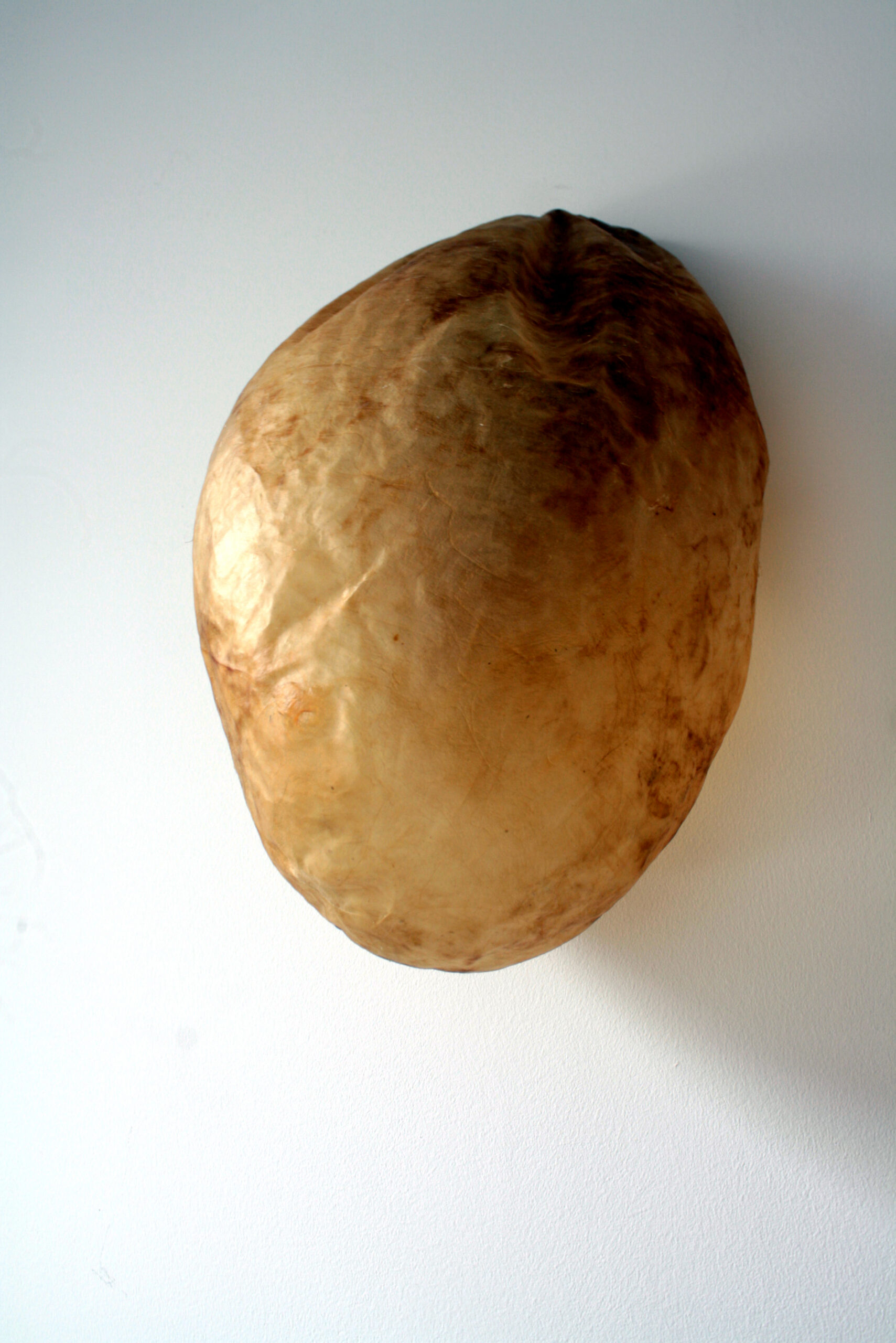 Sleeper #2, Vessie (bœuf), ventilateurs cpu, PLA, composants électroniques, environ 20 x 50 x 20 cm | © Xavier Servas