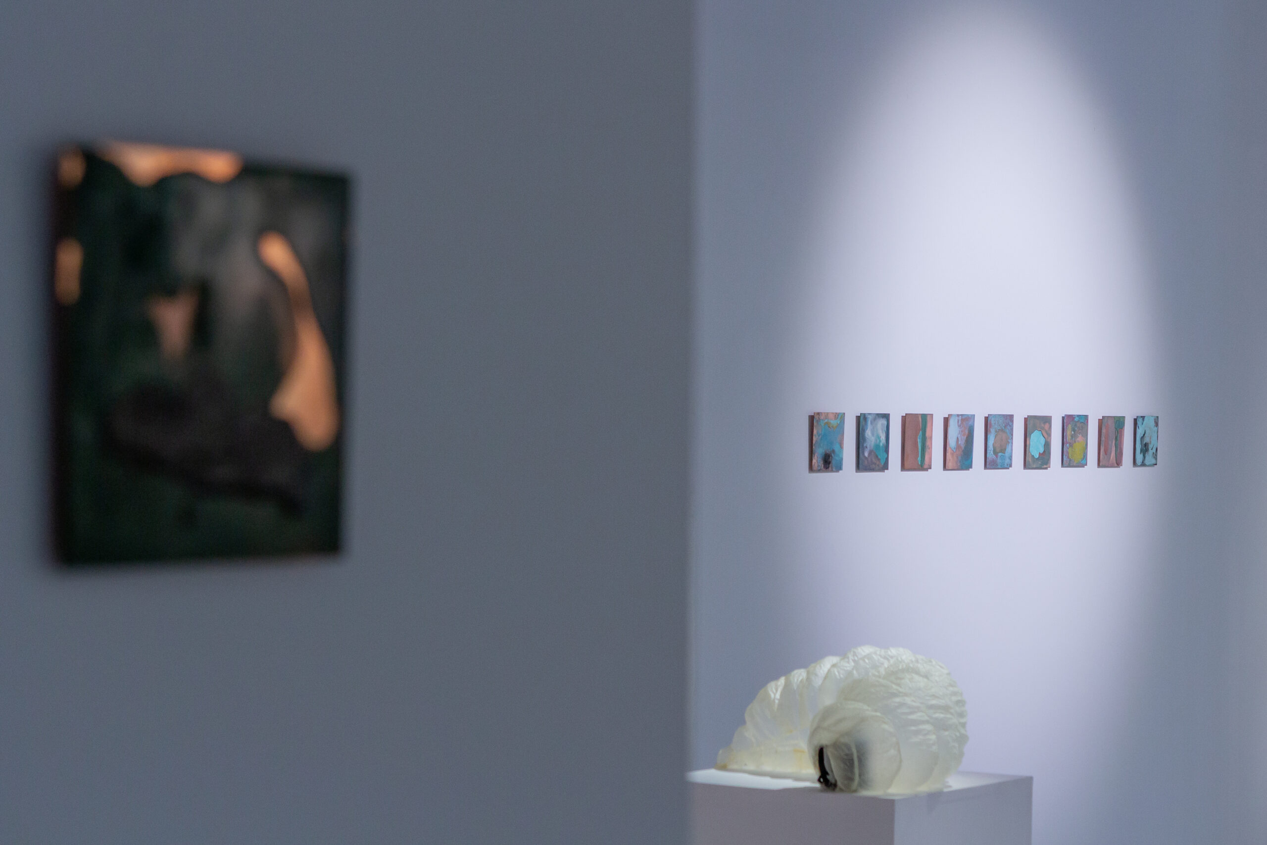 Vue de l'exposition "(im)perméabilités", mars 2025, Loo & Lou Gallery | © Aurea Calcavecchia