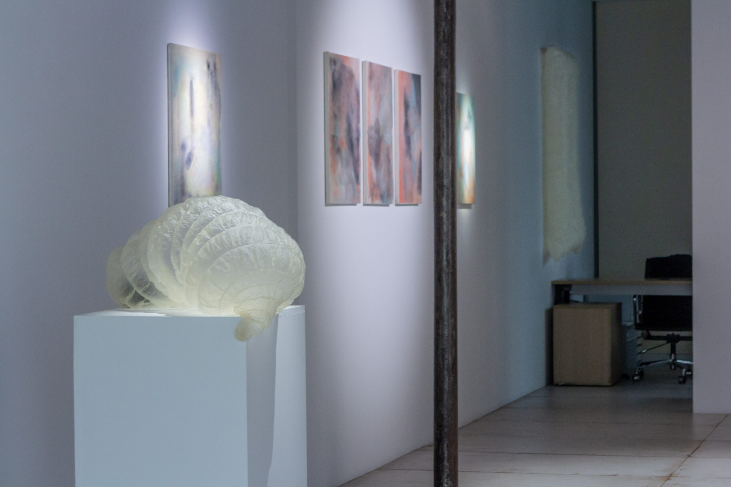 Vue de l'exposition "(im)perméabilités", mars 2025, Loo & Lou Gallery | © Aurea Calcavecchia