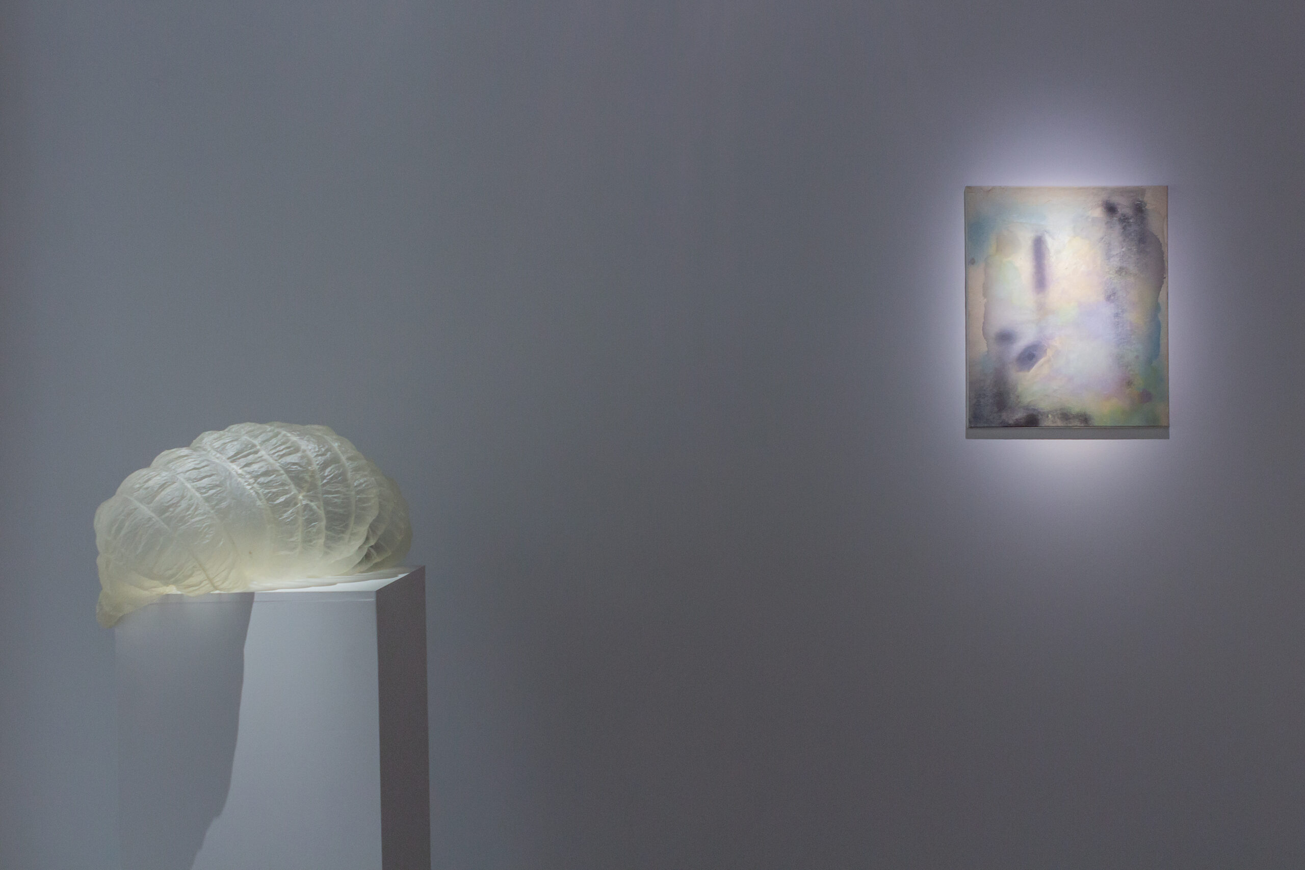 Vue de l'exposition "(im)perméabilités", mars 2025, Loo & Lou Gallery | © Aurea Calcavecchia