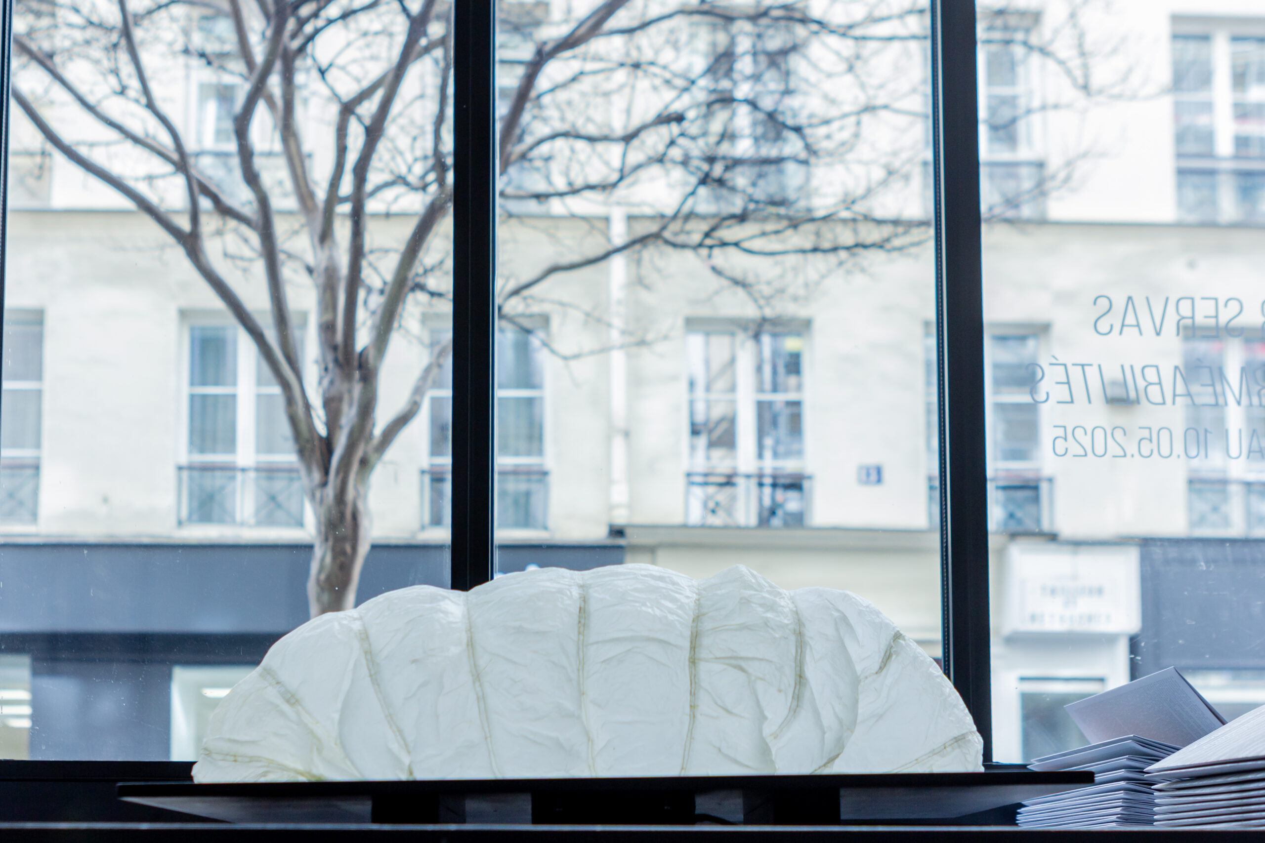 Vue de l'exposition "(im)perméabilités", mars 2025, Loo & Lou Gallery | © Aurea Calcavecchia