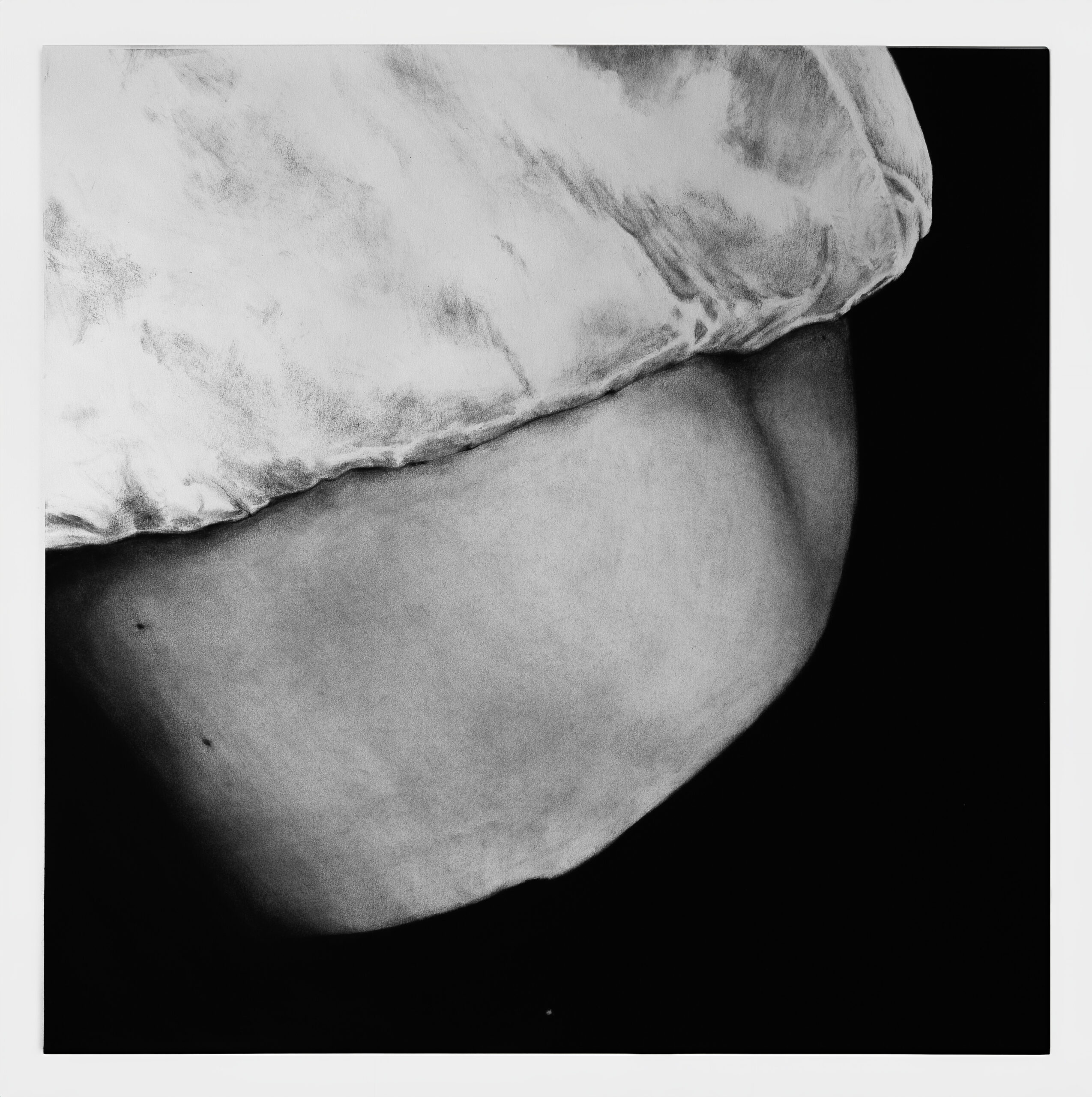 Ventre, 2025, fusain sur papier, 100 x 100 cm © Bastien Vittori