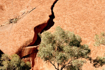 02.04.2022 | Carte blanche for photographer Jean-Christophe Ballot at the Cercle Suédois in partnership with the Galerie Nathalie Béreau