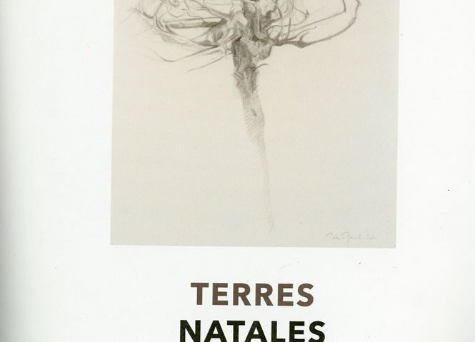 07.10.2020 | Drawings by Paul de Pignol, published in number 18 of the Cahiers de l'école du paysage de Blois.