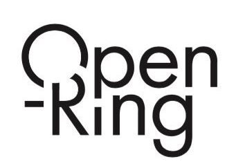 JOËL PERSON, DESSINS SUR LE VIF ET DEFERLANTES, OPEN RING, MARCH 2021