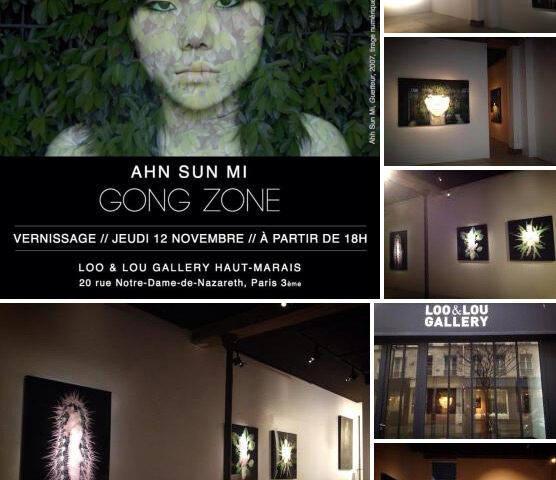 AHN SUN MI, « Gong Zone », Catherine Ahnell Gallery, December 2015