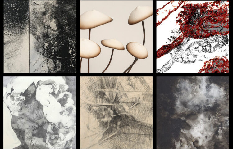 27.02.2021 | New online catalogue with a selection of works under 1000 €