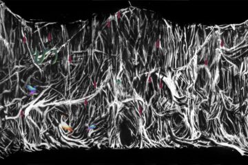 29.09.2021 | Nuit Blanche - Projection mapping by Jean-Julien Pous on the Town Hall of the 3rd district