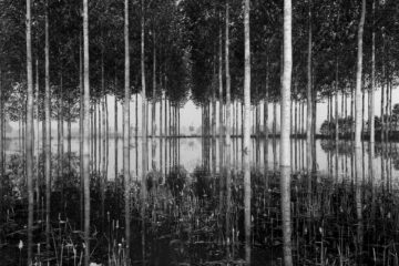 23.10.2020 - 17.01.2021 | Exhibition "Regards de Loire" by Jean-Christophe Ballot at the Château de Tours