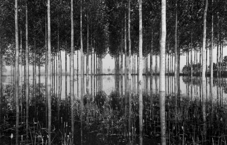 23.10.2020 - 17.01.2021 | Exhibition "Regards de Loire" by Jean-Christophe Ballot at the Château de Tours