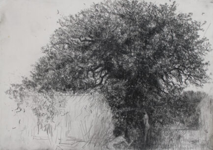 Adam et Eve-30x41,5cm-pierre noire sur papier-2025.jpg