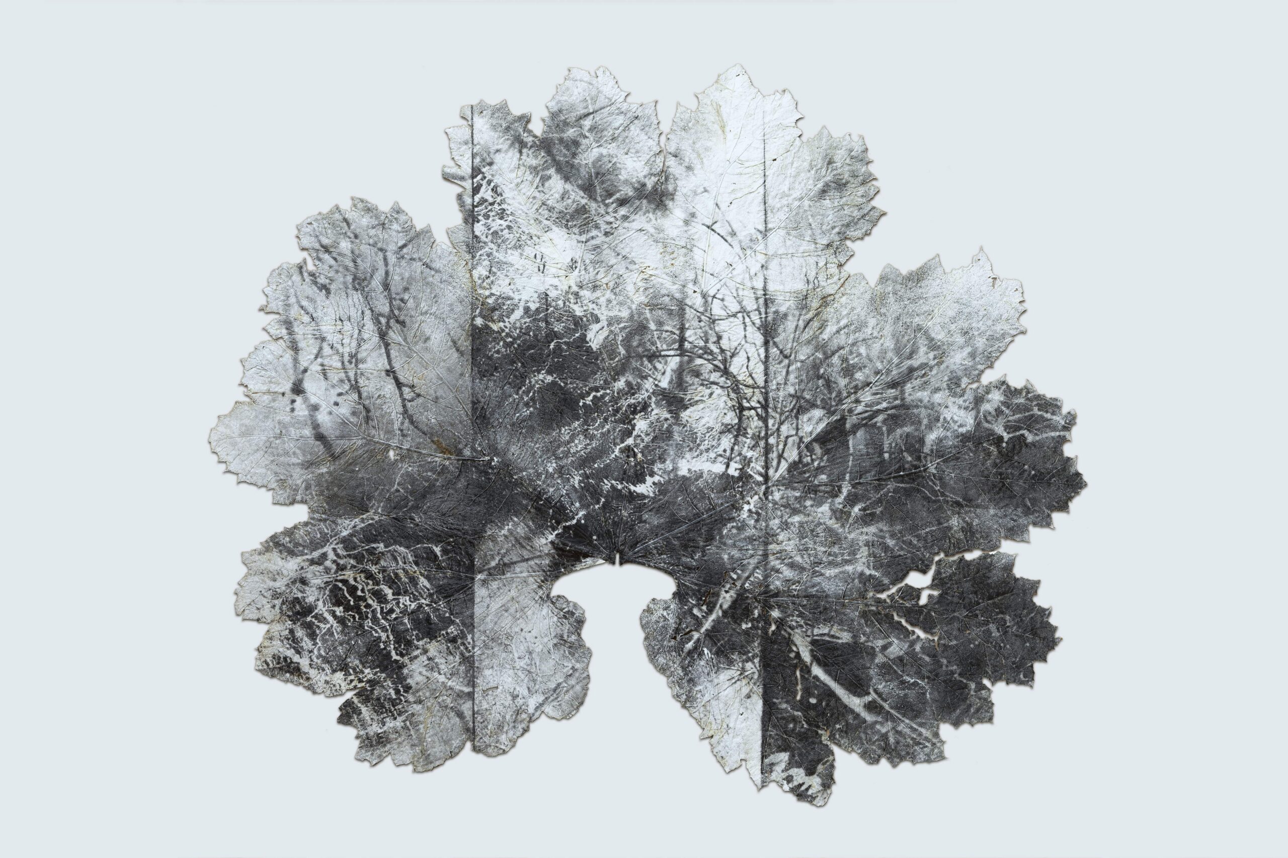 Dominique Lacloche 160x190cm 2022 35 000 €