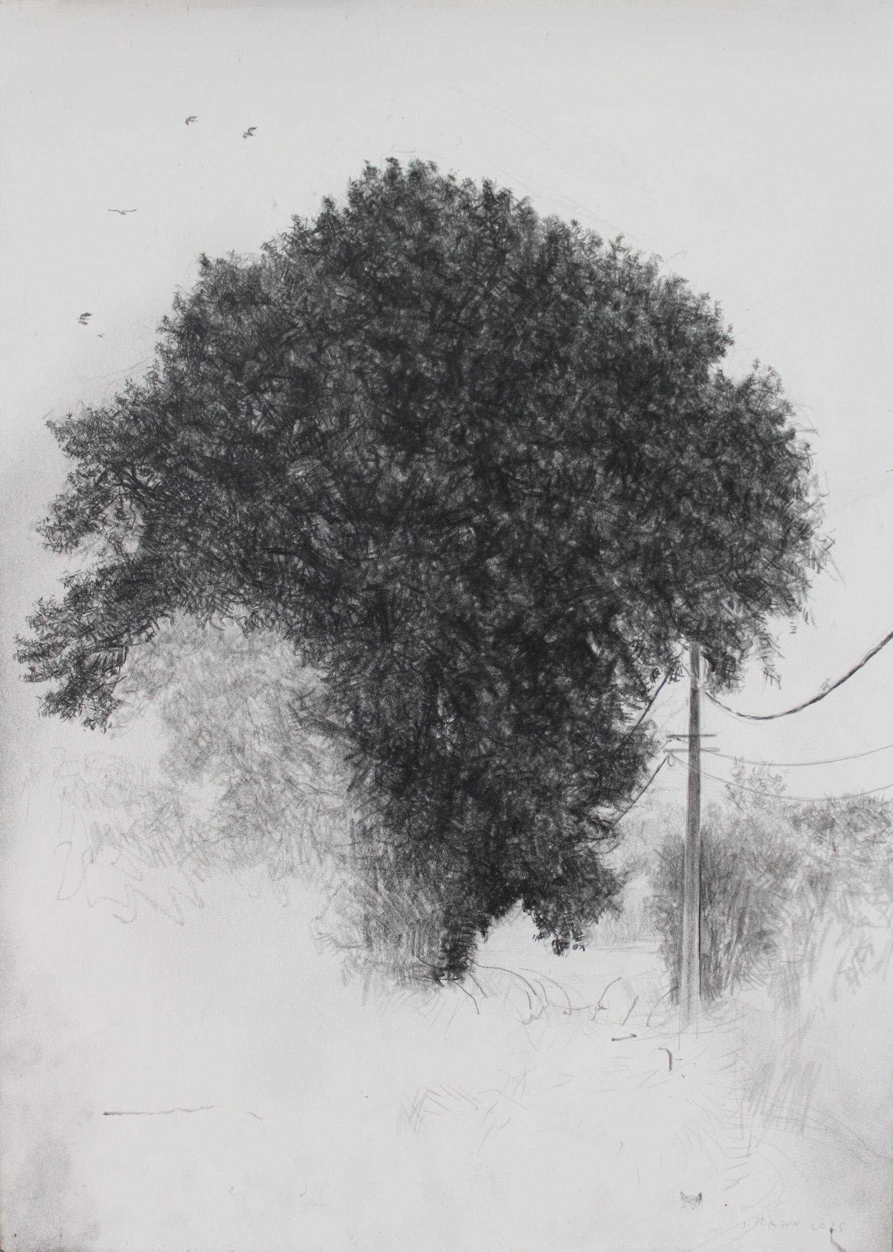 L'arbre de vie 1 -pierre noire sur papier-2025-42x30cm