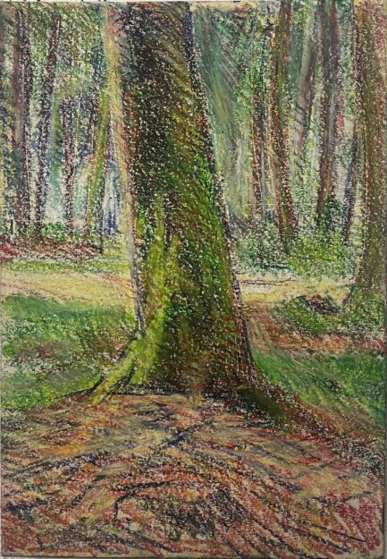 Tronc d'arbre-29,5x20cm