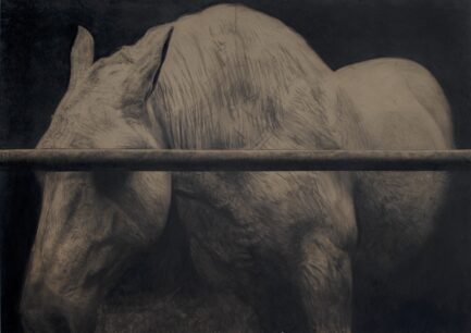 l existence d un tel etre-190x135cm-fusain et craie noire sur panneau de bois-2025