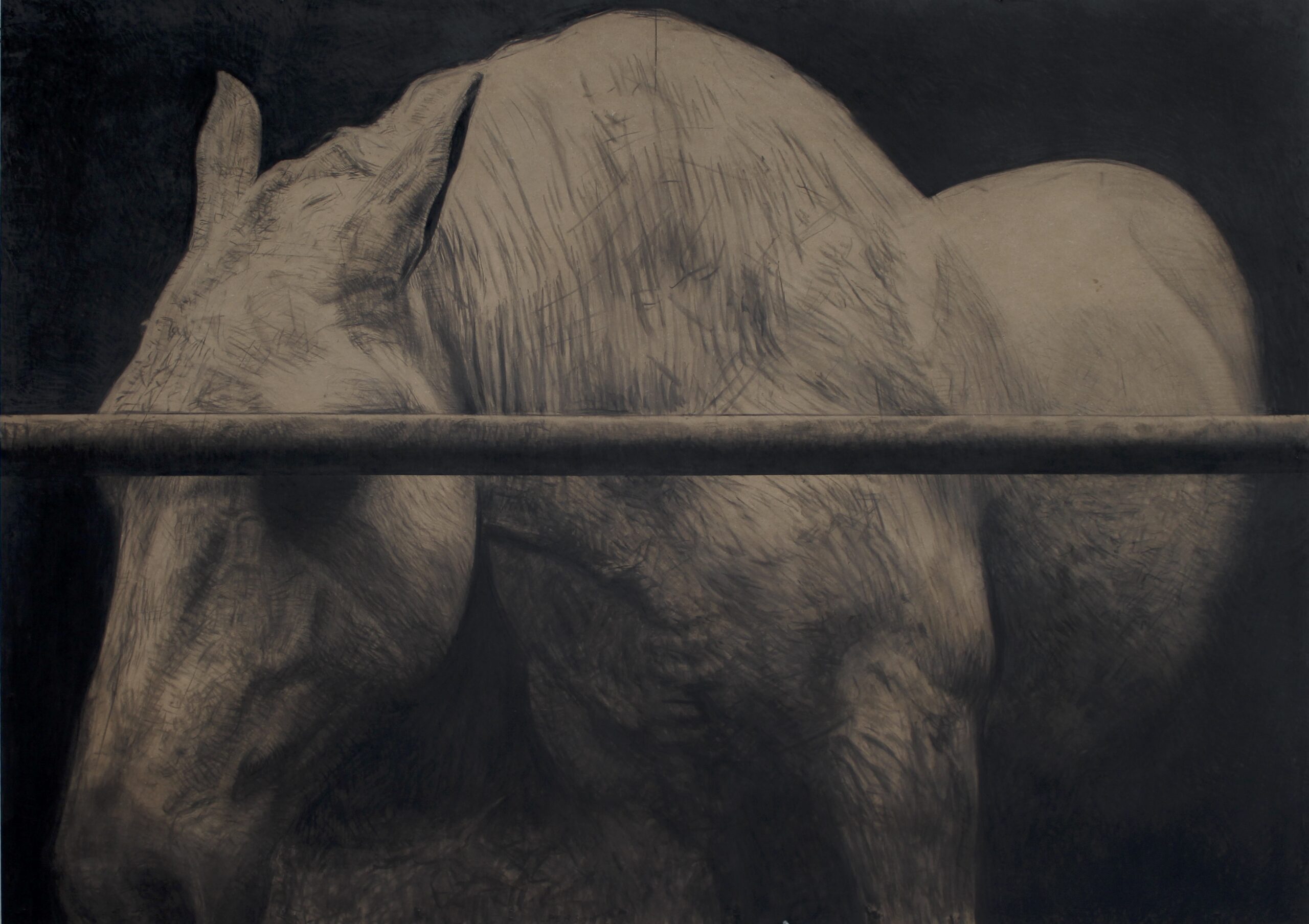 l existence d un tel etre-190x135cm-fusain et craie noire sur panneau de bois-2025