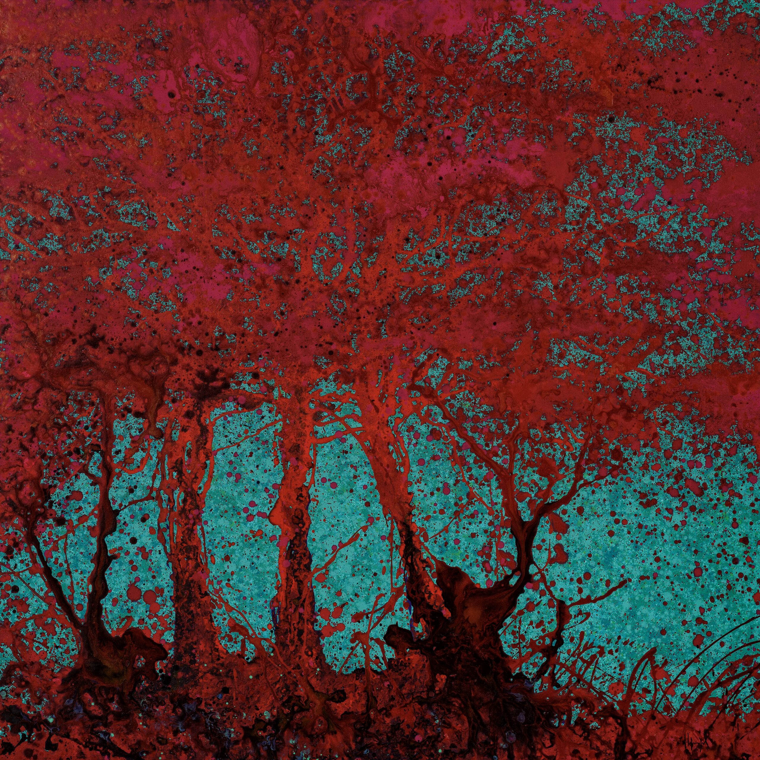 numero479(150x150)21