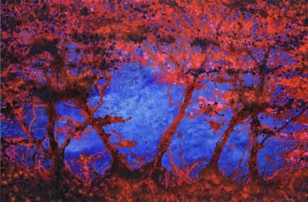 numero508(130x195)21