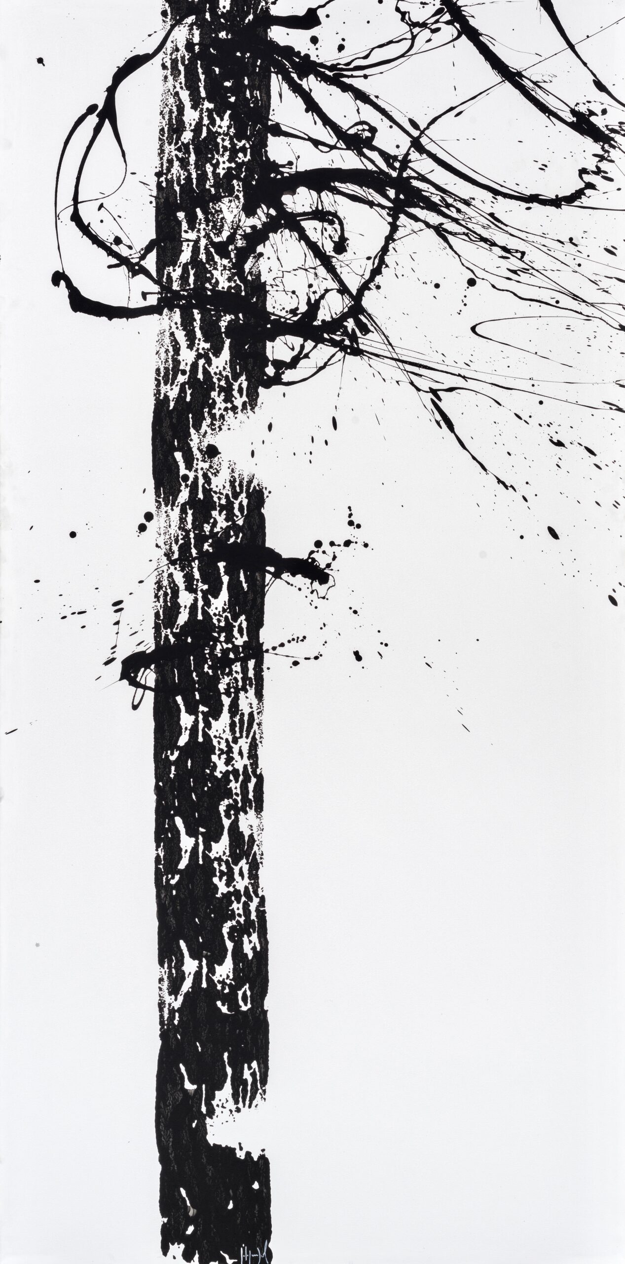 numero608(200x100)23